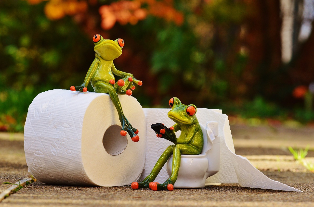 トイレットペーパーに座る蛙