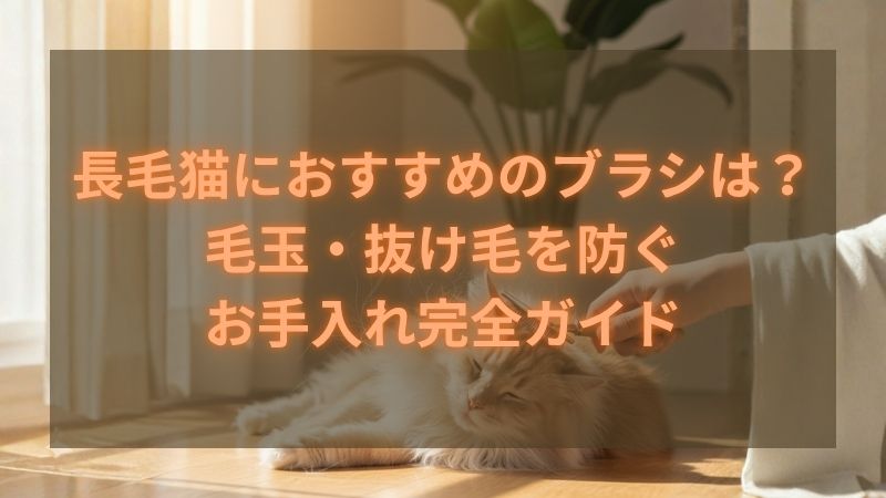 タイトル画像