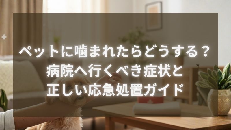 ペット噛むタイトル